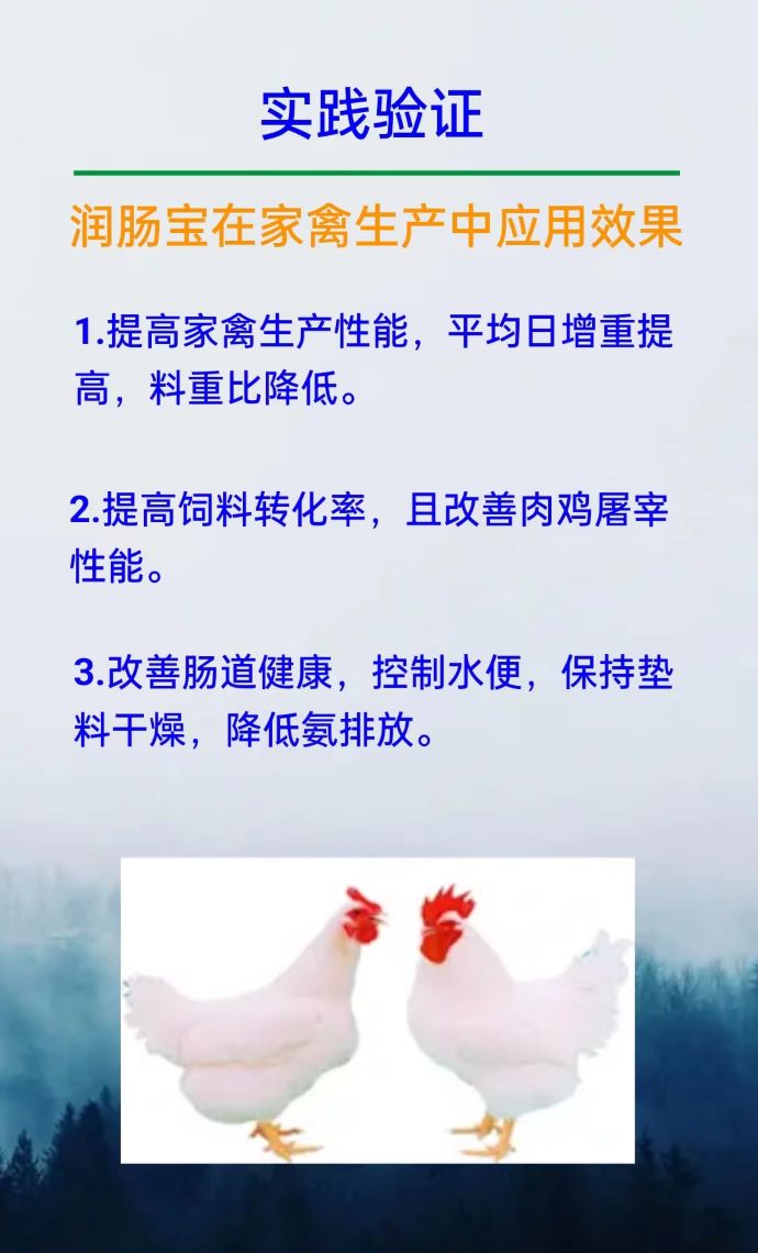 ��ϵ����